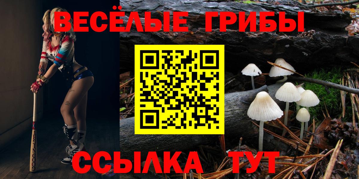 Псилоцибиновые грибы мухоморы Раменское