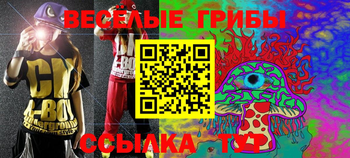 закладки  Вход с VPN  Раменское  Псилоцибиновые грибы мицелий 